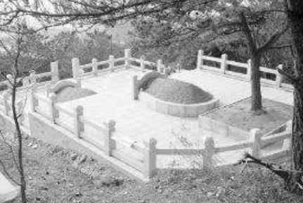 坟上长树要怎样清除掉 坟上长树意味着什么，坟上种什么树对后代好？