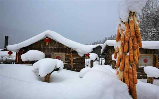 腊月雪 腊月赏诗：腊前三白，春到西园还见雪，这个三白，是指什么？