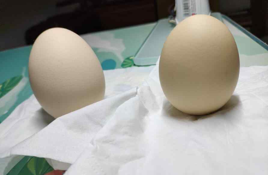 怎么让鸡蛋立起来 立鸡蛋驱鬼魂是真的么，竖鸡蛋叫魂什么原理？