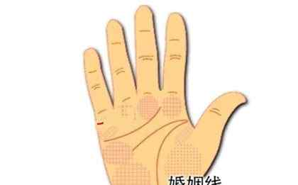 男人手相看哪只手 手相婚姻线看哪个手，男左女右吗？