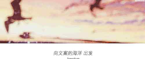 新年文案 一些有趣的2020元旦与新年文案