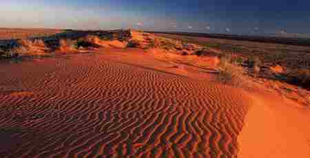 美丽的红色沙漠 美丽的红色沙漠 澳大利亚辛普森沙漠