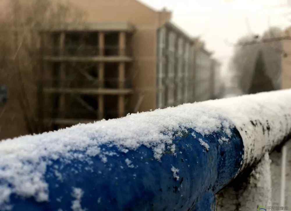 北京道落雪了 雪花进京！坐标延庆 这波冬季雪景图美翻了