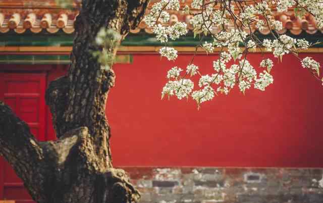今夜偏知春气暖全诗 唐朝“绿帽子”诗人，写下一首千古名作，入选《唐诗三百首》