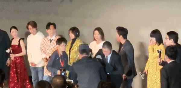 王珞丹红毯被求婚 王珞丹再被求婚吓到语无伦次，刘亦菲被推倒在地，粉丝的爱真沉重