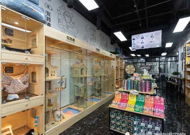 如何开宠物店 手把手教你如何开宠物店