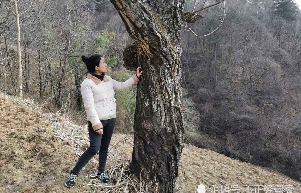 董心怡 尘肺病父亲下矿15年供女儿读大学，遭嘲讽：砍核桃树打棺材吧