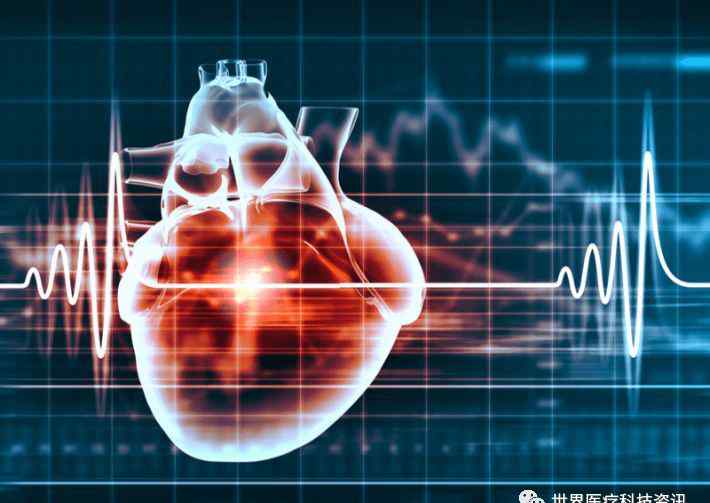 hrv 心率变异性HRV：它是什么、运动训练可以改善它吗