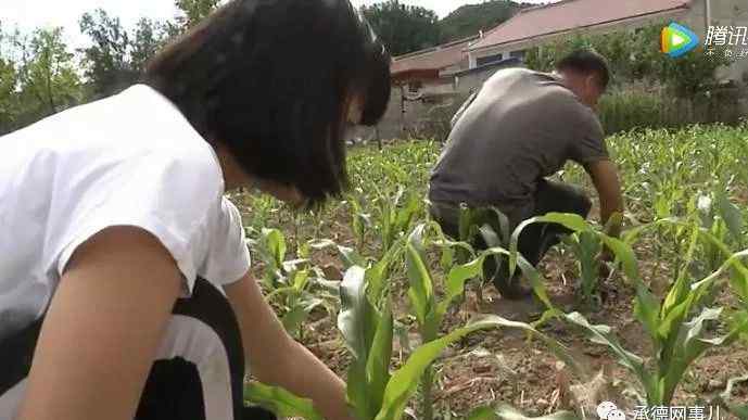 承德宽城最浪的女人 百姓故事：承德宽城县15岁女孩高思雨独自撑起一个家