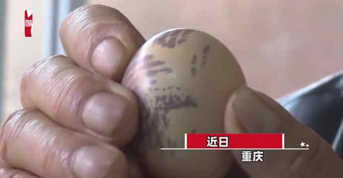 母鸡有特殊怪癖自己下蛋自己吃 蛋上还有奇怪花纹 专家：别吃