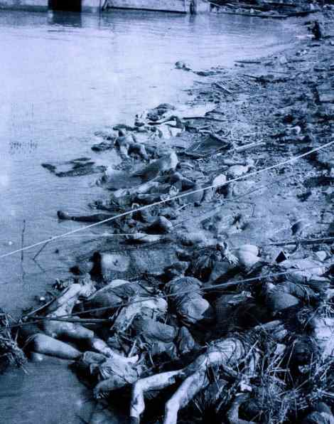 南京百姓 1937年的南京人有多惨？9名百姓被迫跪拜一匹死马，还砍头当祭品
