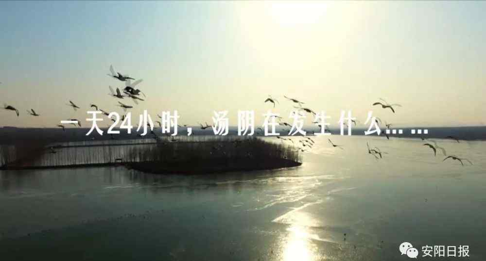 安阳新闻网第四媒体 一天24小时，汤阴在发生什么？