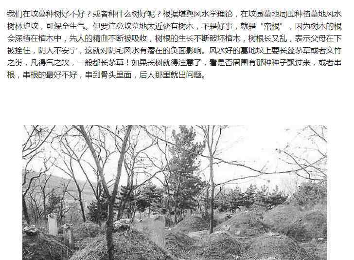 坟上长树要怎样清除掉 坟上长树意味着什么，坟上种什么树对后代好？