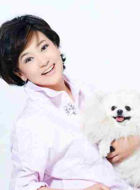 大连女主播张伟杰 张伟杰失踪之谜 大连电视台女主持人张伟杰失踪？