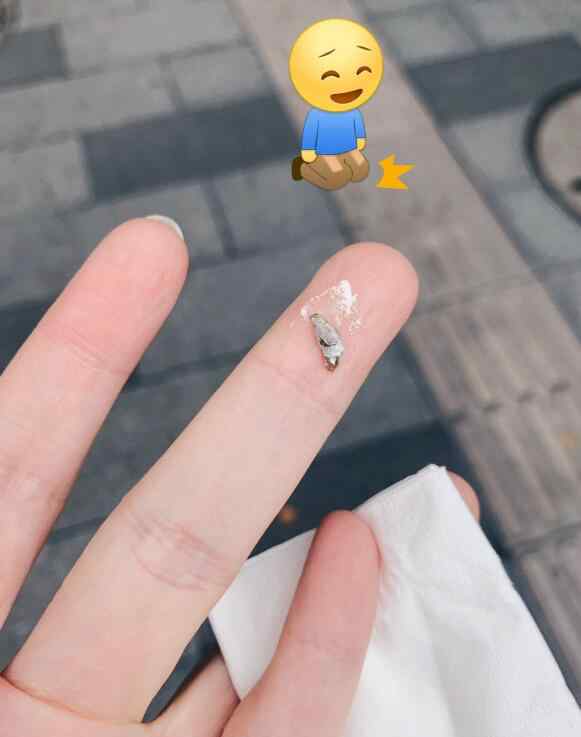 鸟屎掉头上有什么预兆 被鸟屎砸中头暗示什么，鸟屎掉身上是福还是祸？