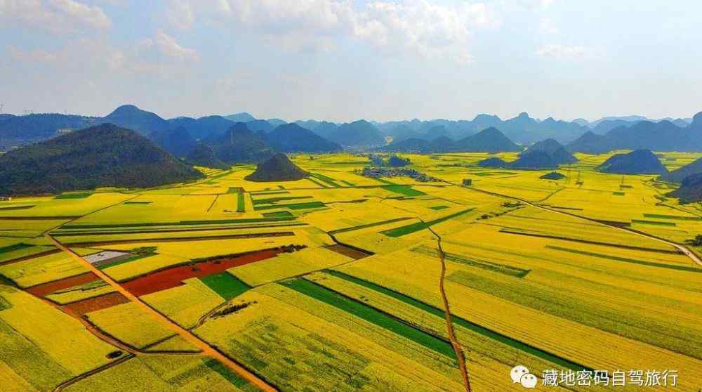 云南罗平油菜花旅游 来罗平赏百万亩油菜花—感觉云南最美春天！