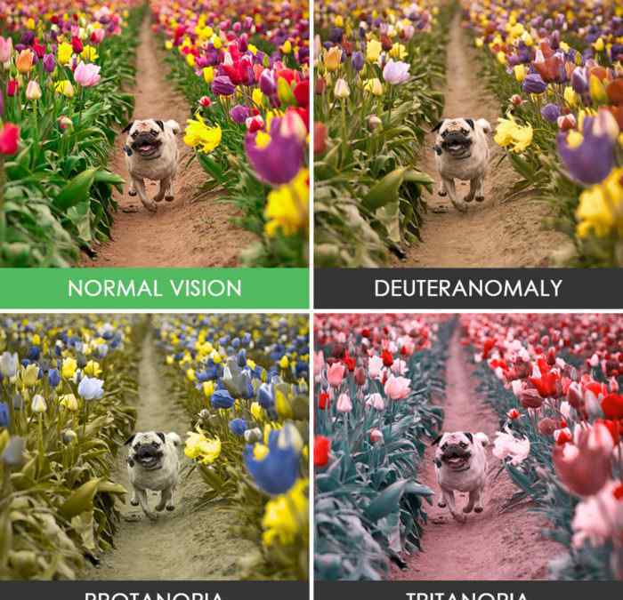 色弱训练36张图片 16张色盲色弱测试图，从简单到困难，看看你能看出第几张图