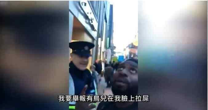 鸟屎掉身上是福是祸 被鸟屎砸中头暗示什么，鸟屎掉身上是福还是祸？