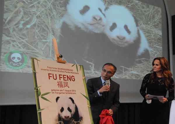 龙徽 16岁旅居奥地利大熊猫“龙徽”去世 肿瘤手术麻醉期间心跳停止