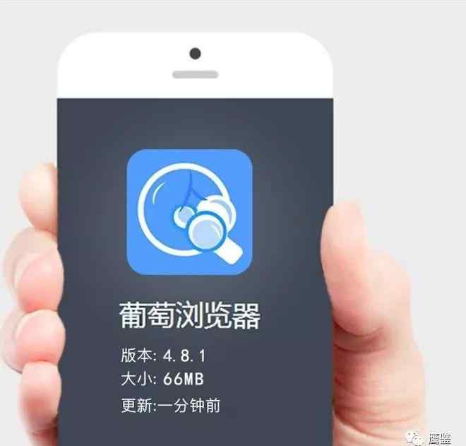 葡萄浏览器是怎么回事合法吗 “葡萄浏览器”被质疑涉嫌非法集资及传销 市监总局建议举报