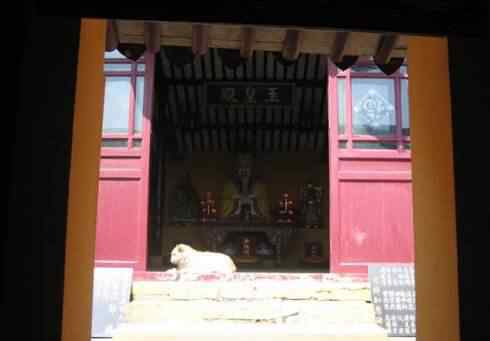 什么样的人死后还会出现 人死后会变成动物回来看家人吗？盘点人死前的15种征兆是什么人死后会变成动物回来看家人吗？盘点人死前的15种征兆是什么人死后会变成动物回来看家人吗？盘点人死前的15种征兆是什么人
