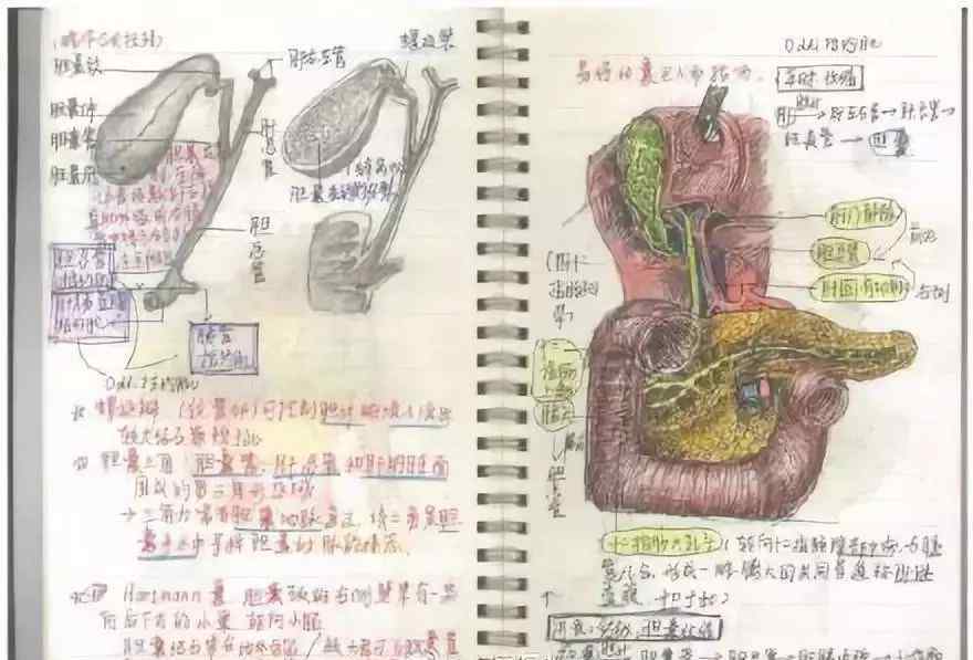 性自虐 浙大学霸逆天笔记曝光：高手都是持续性自律