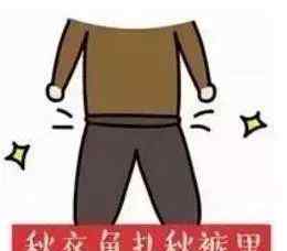 五裂槭 跌至0℃？低温＋高湿＋大风！接下来厦门天气刺激了……