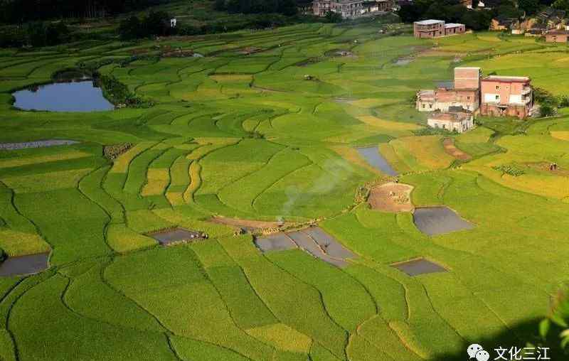 阳春风水大师 李郁风水传奇