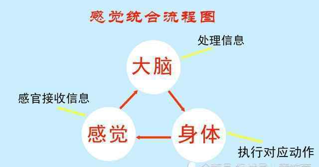 什么是感觉统合训练 什么是感统训练，感统训练对孩子有什么作用，3-8岁的孩子适合吗