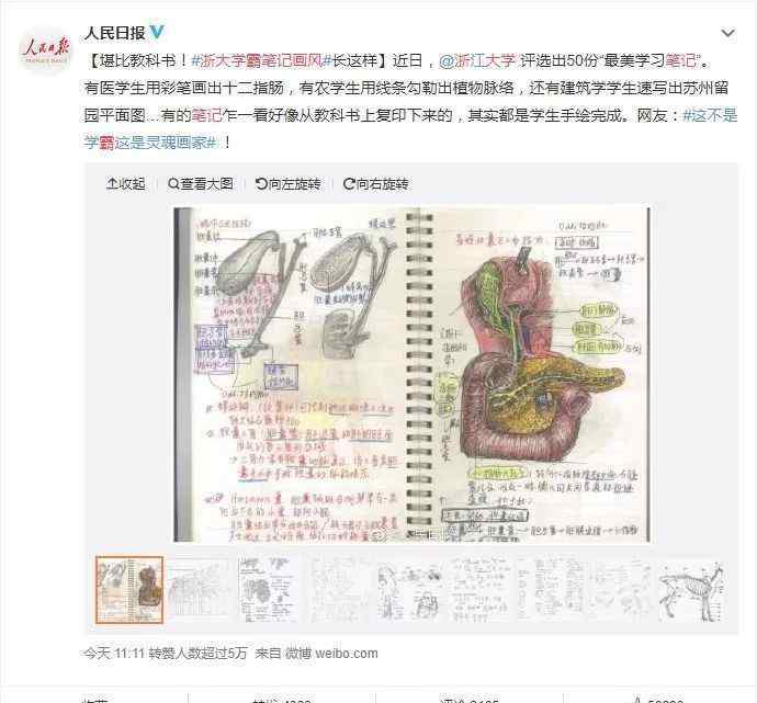性自虐 浙大学霸逆天笔记曝光：高手都是持续性自律