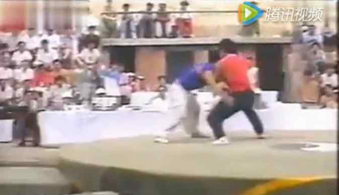 王战军太极拳 太极王战军真功夫视频，王战军到底是不是真功夫？