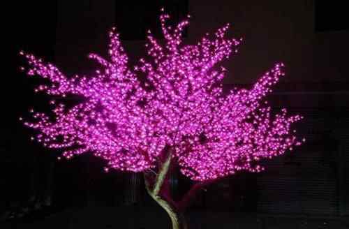 发光树 世界上最神奇的树图片