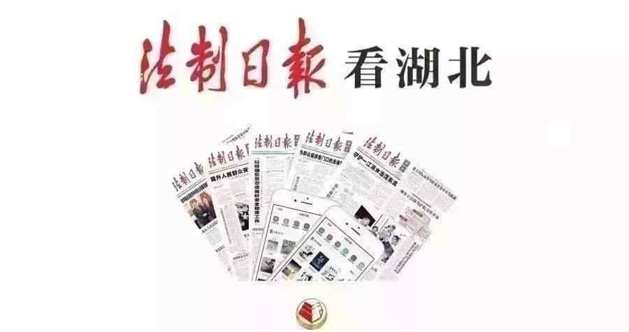 武汉市新洲区黑社会 大快人心！武汉一“黑老大”把持村组织作恶被判无期！