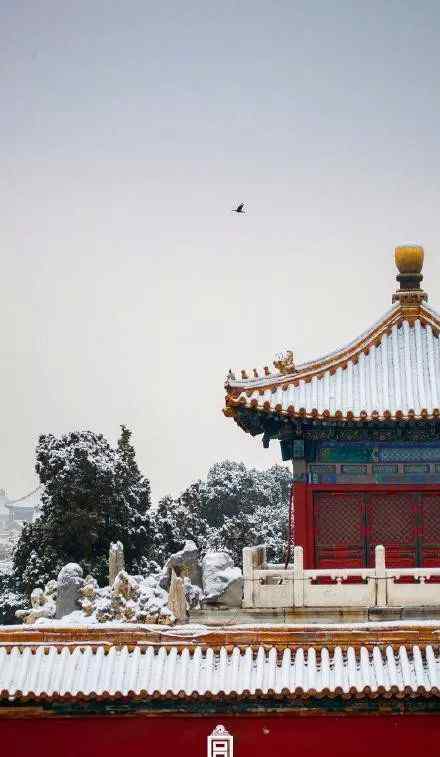 北京大雪图片 北京大雪 ，20张故宫绝美雪景，请查收！