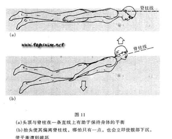 水平衡 什么是水中平衡？