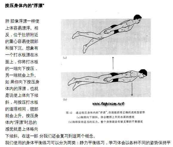 水平衡 什么是水中平衡？