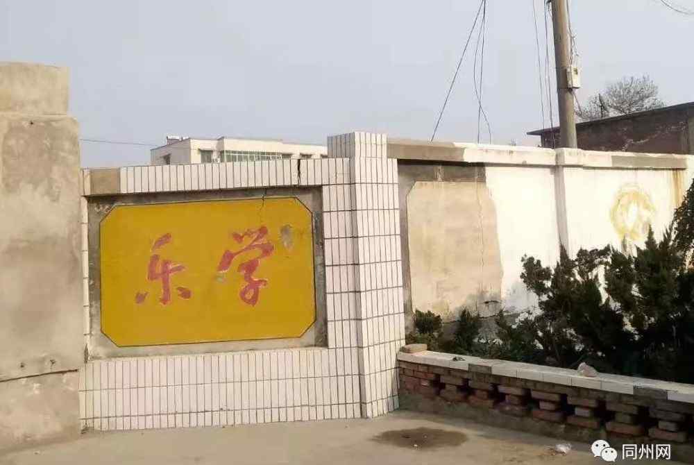大荔县城关中学 大荔农场子校，我们永远的记忆！