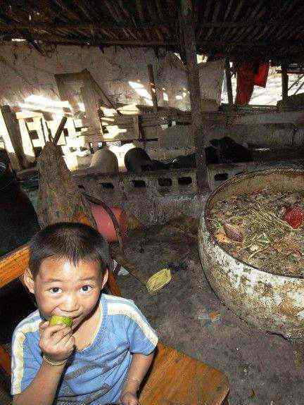 喂猪 泔水那么臭猪为什么喜欢吃？泔水为什么不能喂猪