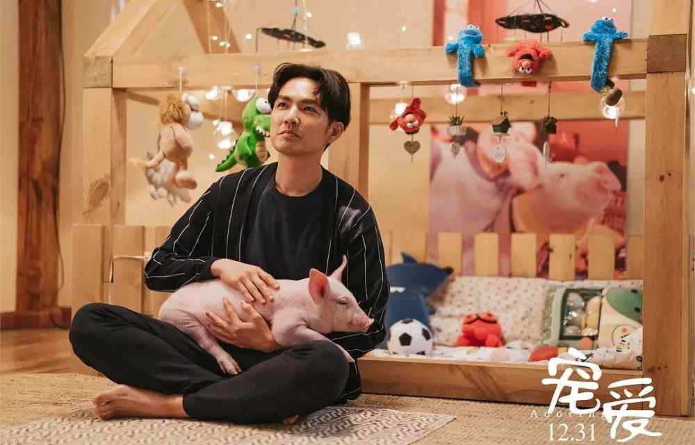 叮当猪 首映破亿，票房冠军，值得一夸的却是一只猪！
