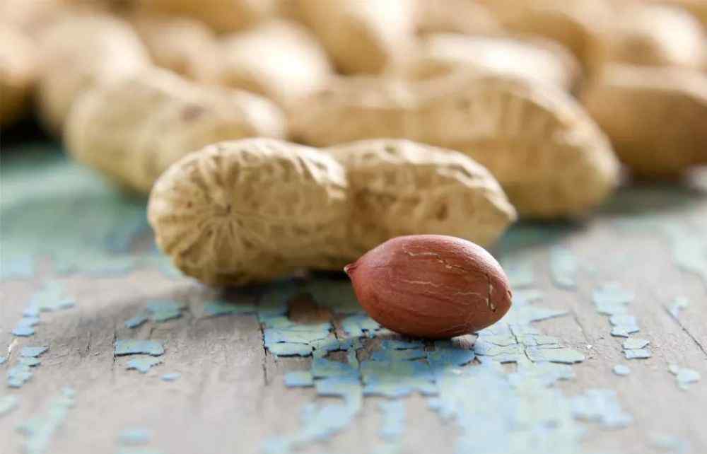 长生果图片 产地食材▎这样的“长生果”可以天天见 记滦州的高油酸零食小花生