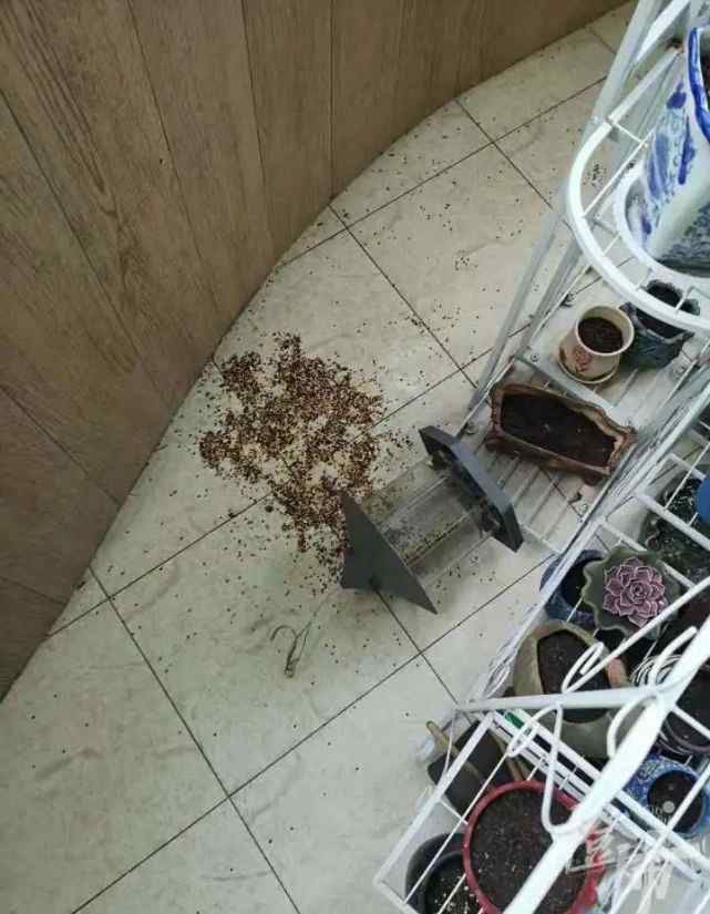 杭州女子家里被翻得乱七八糟 警察说这不是人干的！果然……
