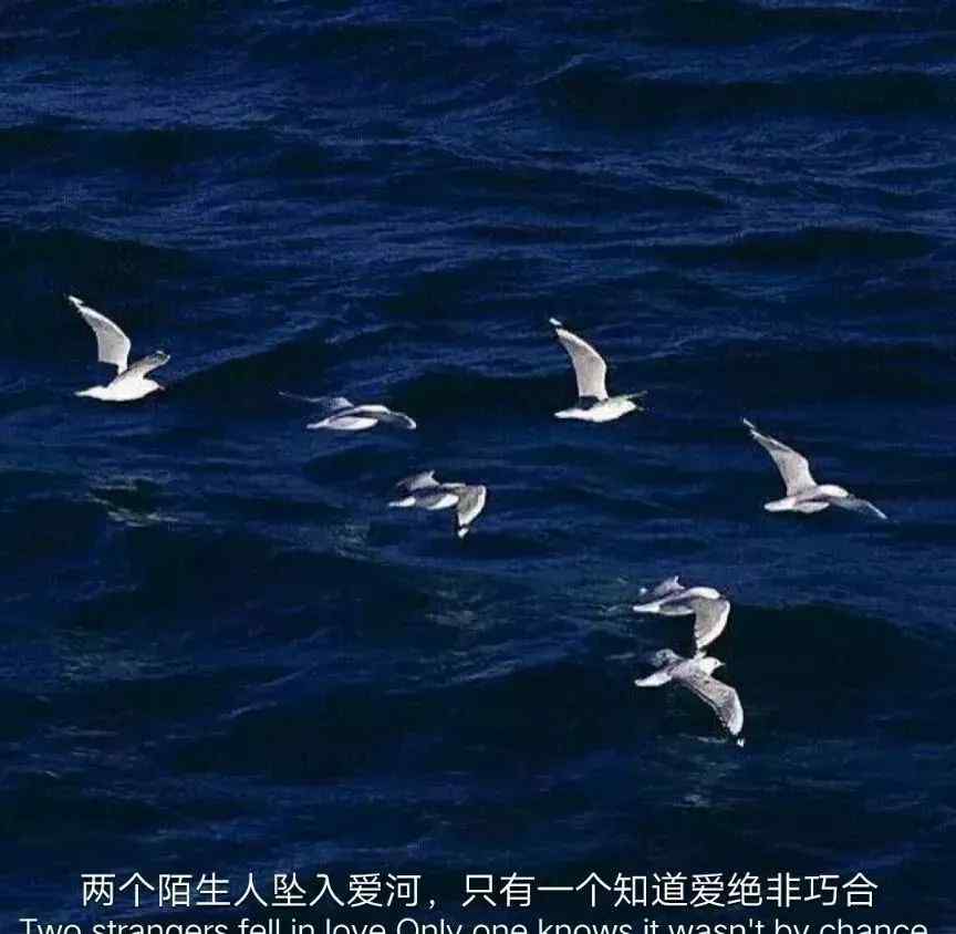 神仙朋友圈 【背景图】来一波神仙朋友圈背景图