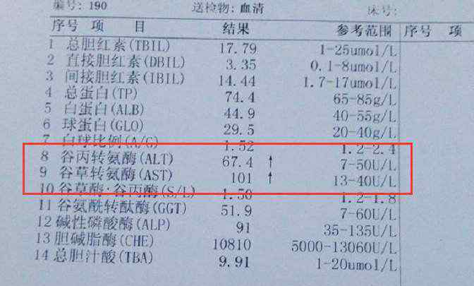 乙肝E抗原 乙肝e抗原阴性，转氨酶反复升高，几种原因要先查明