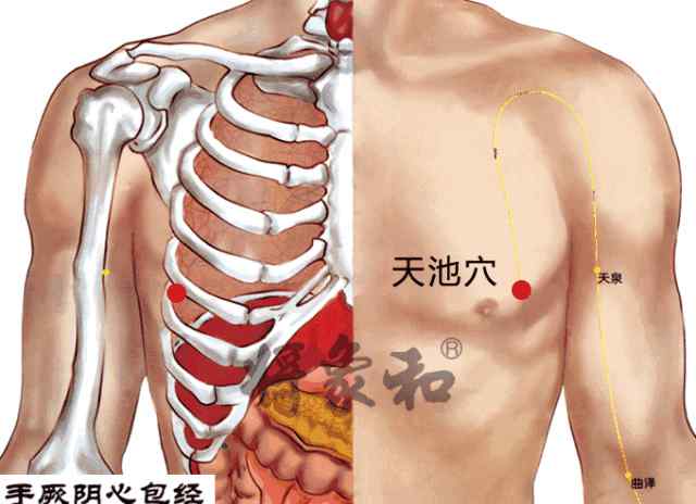 天池穴 乳房上有一穴位，它是女性的抗癌穴、长寿穴、快乐穴，有时间就灸一灸！