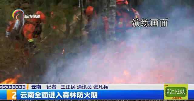 云南森林防火网 云南全面进入森林防火期