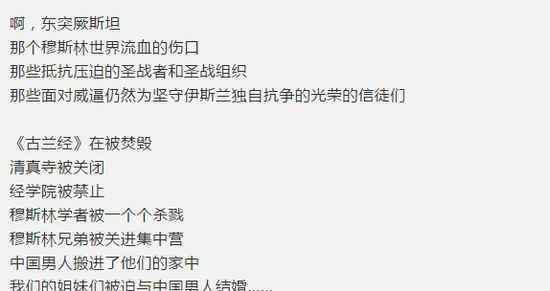 东突旗帜 侠客岛：引众怒的厄齐尔，到底支持了什么恐怖组织？