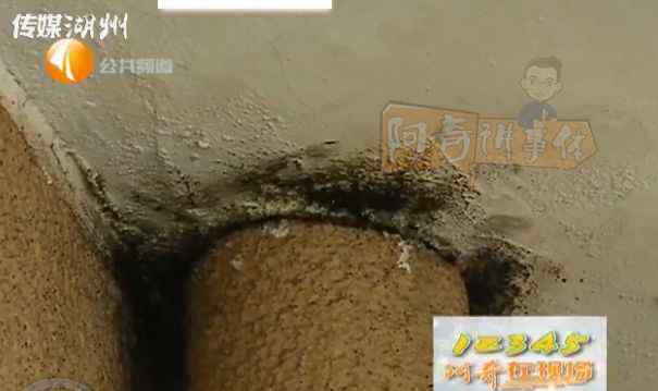 雪源康 新房未装修就长毛，只因开发商忽略了这个细节……