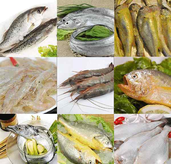 海鲜配送 震惊！野生海鲜竟可以直接配送上门？从码头到你家仅需1天