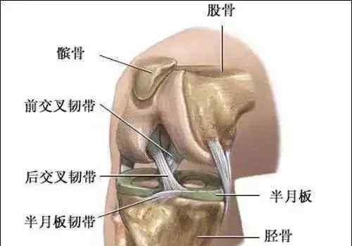 锻炼膝盖最好的方法 15个膝关节实用康复锻炼方法
