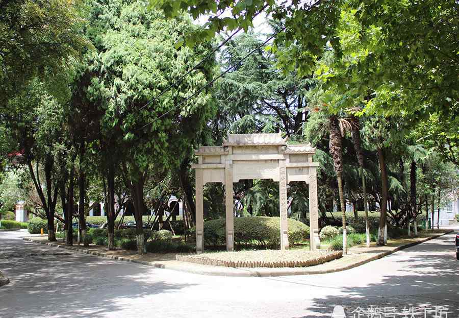 上海海事大学是一本吗 上海这4所大学，虽不是双一流，但分高难考，过一本线50分上不了